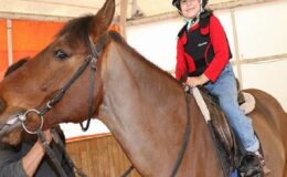 Büyükşehir’den çocuklara ücretsiz at binme