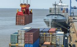 Türkiye’nin sultani çekirdeksiz kuru üzümünün ihraç fiyatı dolar bazında yüzde 29 arttı