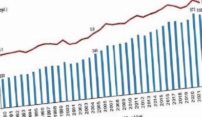 Tüik: Toplam sera gazı emisyonu 2022 yılında 558,3 Mt CO2 eşdeğeri oldu