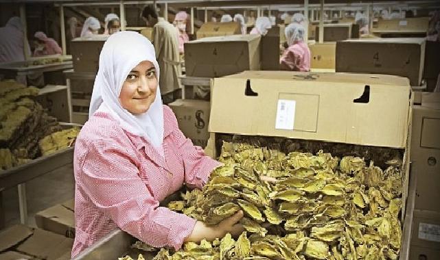 Ege Bölgesi’nin ihracatı 2024 yılının ilk yarısında yüzde 5 azaldı